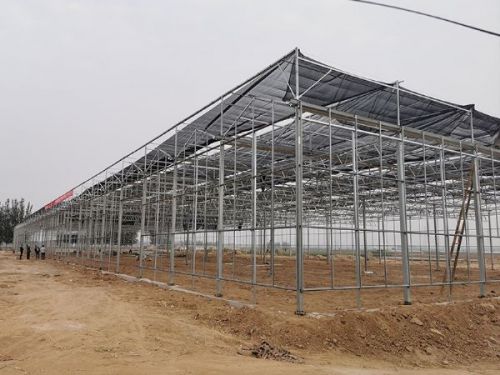 玻璃溫室的優點有哪些？