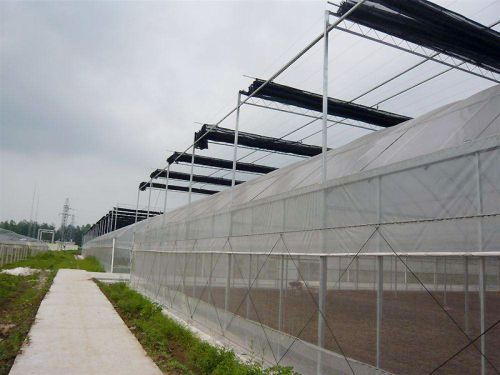 連棟薄膜溫室